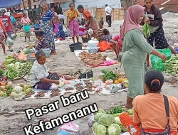 Ikan Berformalin di Pasar TTU: Wajah Buram Pengawasan Kesehatan