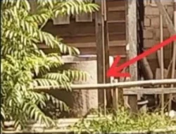 Adityawarman Gugur di Sumur Kebun: Luka yang Menganga di Jantung Demokrasi”