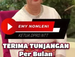 Tunjangan Rp 41,4 Miliar DPRD NTT: Antara Regulasi dan Luka Rakyat