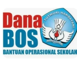 Skandal Dana BOS SDN 5 Pedamaran: Ketidakadilan Honorer, Nepotisme, dan Janji Transparansi yang Dikhianati