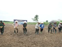 TNI Turun ke Sawah, Tanam Harapan Baru