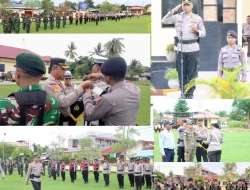 Zebra Turangga di Tapal Batas