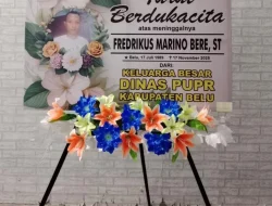 Pagi yang Membeku di Kota  Atambua