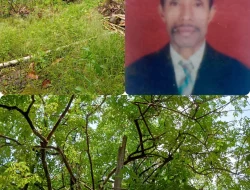 175 Hektare Menunggu Bajak: Fatubenao dan Mimpi Menjadi Sentral Pangan Atambua