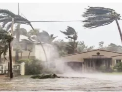 Ketika Langit Mengetuk Tanah Flobamorata