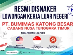 Jalan Resmi Menuju Mimpi