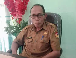 Kota Atambua Bersolek di Bawah Rindang Jati Nenuk