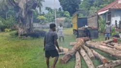Kayu Ilegal Disergap di Kateri, 52 Batang Diamankan—Negara Hadir Menjaga Hutan