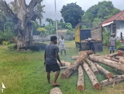 Kayu Ilegal Disergap di Kateri, 52 Batang Diamankan—Negara Hadir Menjaga Hutan