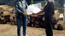 WALHI NTT dan Lakmas Cendana Wangi Desak Aparat Usut Dugaan Peredaran Kayu Sonokeling Ilegal di TTU