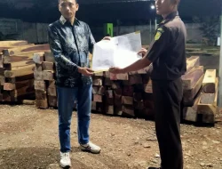 WALHI NTT dan Lakmas Cendana Wangi Desak Aparat Usut Dugaan Peredaran Kayu Sonokeling Ilegal di TTU